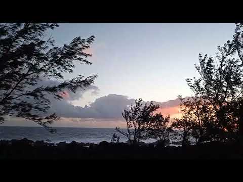 aire de picnic, étang-salé les bains, coucher de soleil⛅️🌊🌅
