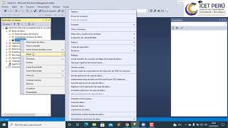 Restaurar y Copia de Seguridad de Base de Datos SQL Server 2019