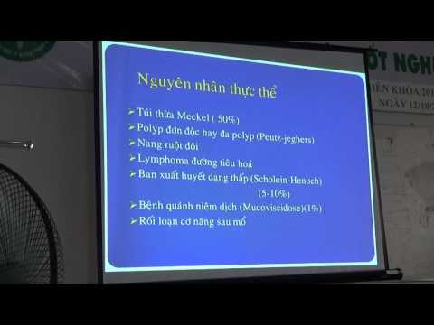 Bệnh lý cấp cứu bụng không do chấn thương trẻ em phần 2 Bs Chí
