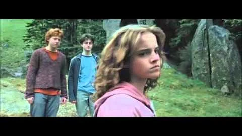 ¿En qué película le pega Hermione a Draco?