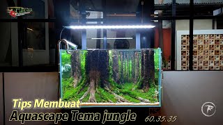 Tips Membuat Aquascape Tema Jungle
