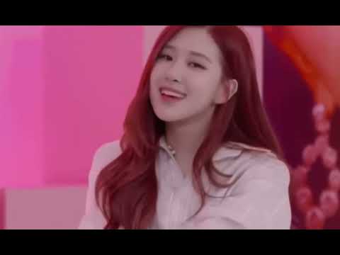 BlackPink meme 05 : Hello everyone my name is rosé