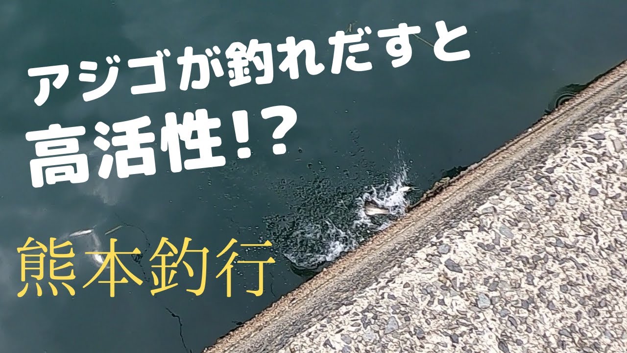 【熊本県】7月上旬、芦北調査釣行！！