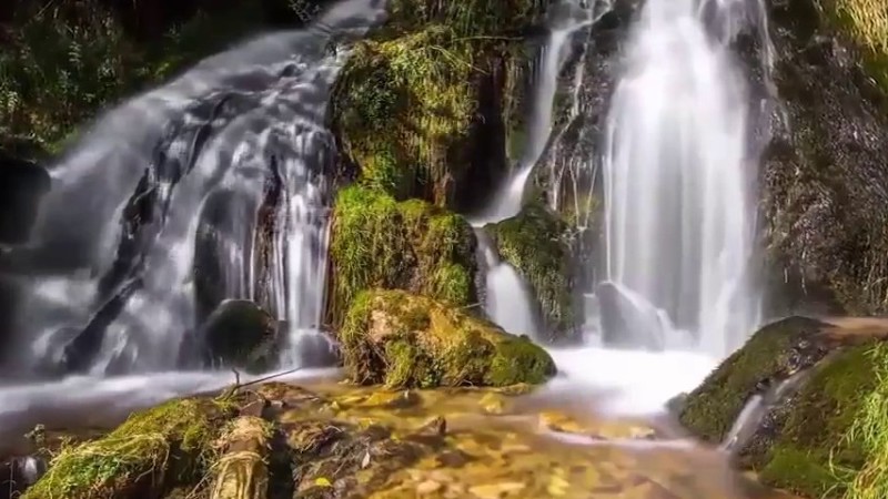 -سورة الواقعة - بصوت القارئ عبدالله الخلف 1437