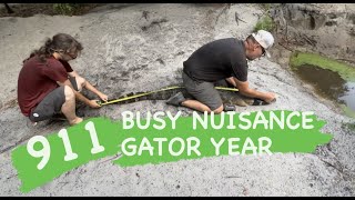 911BUSY NUISANCE GATOR YEAR