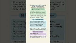 Cisco Spanning Tree Protocol (STP) Explained: Stop Network Loops! CCNA Basics#ccna #ccnp #networking