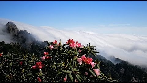 Sea of Drifting Clouds Turn China’s Huangshan Mountain into Fairyland