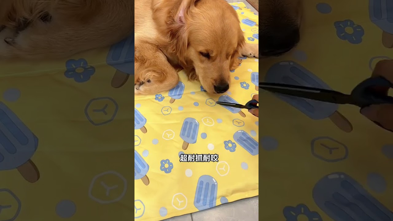 Это так здорово спать на таком огромном ледяном мате в такой жаркий день. Мат для животных. Милые у