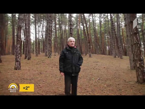 #ახალიდღე კაცი, რომელმაც სურამს, წაღვერს, ბორჯომსა და ბაკურიანს ტყის მასივები დაუტოვა