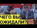 Представитель России в ООН объяснил недовольному Западу причины КОНЦА зерновой сделки