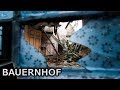 GEFAHR AUF DEM BAUERNHOF | DACH EINGESTÜRZT | MELKSTALL | Lost Place #016