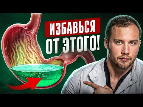 A Natural Helper for Better DIGESTION — taking gut health to the next level