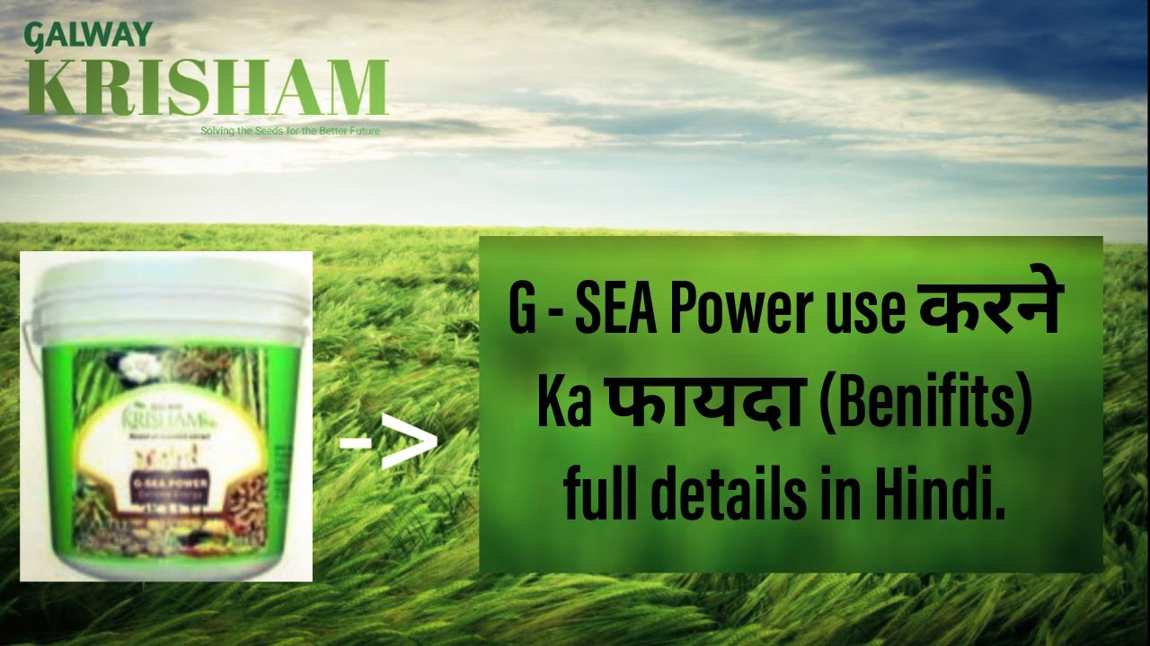 Galway G-sea power full details. || Galway Krisham. || Galway anu official.