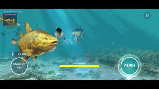 last world fishing championship video ever (goodbye 😭 WFC)  @MrVestox screenshot 5