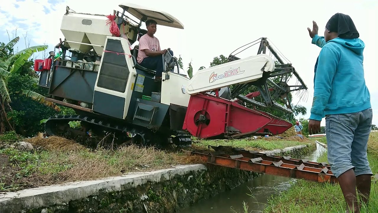 combi hampir terprosok saat menyebrang selokan | combine harvester