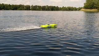 Rc Gfk Raceboat Miss Geico 36 119,2 Kmh Catamaran Brushless Twin Rennboot Proboat Horizon Hobby