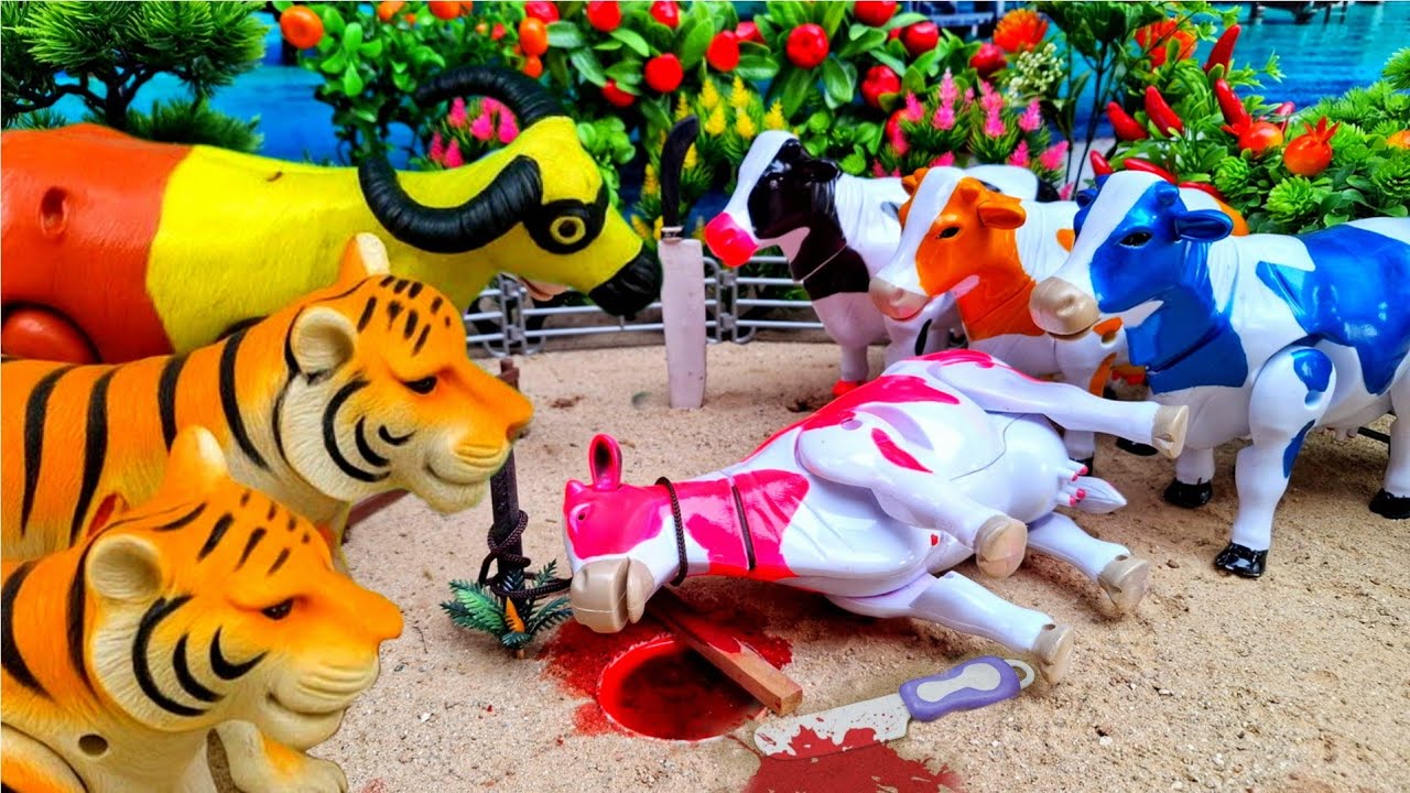 WADIDAU‼️PROSES POTONG SAPI KURBAN | PROSES MELAHIRKAN CESAR SAPI & DOMBA | Cow Videos