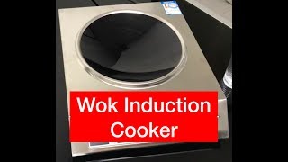 Wok induction cooker
