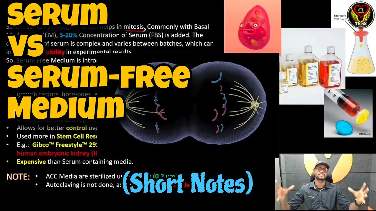 Serum Free Medium vs Serum infused medium | Tamil | Animal Cell Culture ...