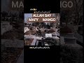 ZA ALLAH HAMY MAFYI DAY 