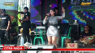 PUPU BAYU // CITRA NADA LIVE DESA SIANDONG // LARANGAN - BREBES