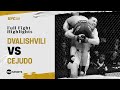 DOMINATION! 💥💣 | Merab Dvalishvili vs Henry Cejudo | #UFC298 Highlights image