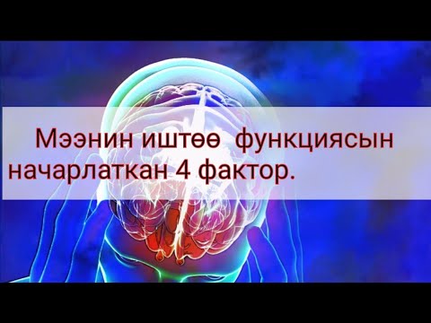 Video: Мээнин шишигинин алгачкы белгилери