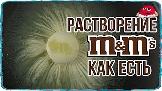 Растворение m&amp;m&#39;s в воде как есть. m&amp;m&#39;s dissolving in water RAW