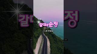 #갈대의순정 #박일남 #트로트인기가요 #트로트 #트로트명곡 #미스터트롯2 #추억소환 #트롯 #kpop