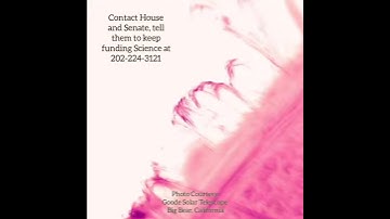 Coronal Rain Falling in Sun