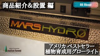 【MARS HYDORO】アメリカでベストセラーを獲得した植物育成用グローライト [ 商品紹介&設置編 ]