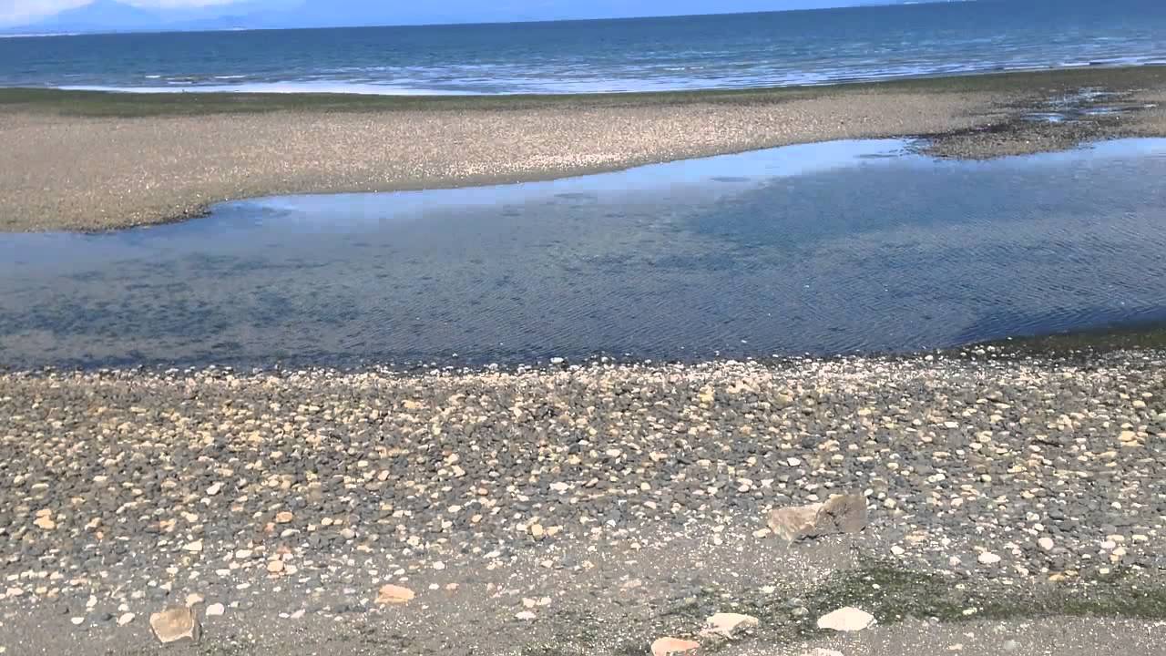 Bellas Beachfront Beachfront Bed and Breakfast beach