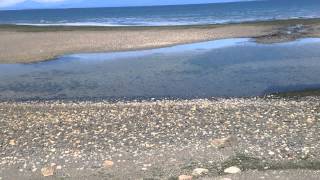 Bellas Beachfront Beachfront Bed and Breakfast beach