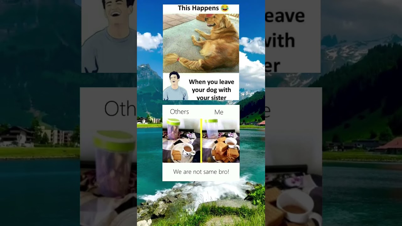 Comedy so accurate, it hurts. 😭😂 