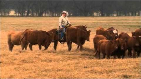 Getting BQA Certified is Quick and Easy