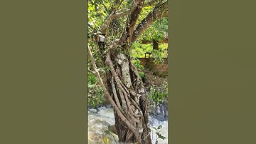 Thác Ba Dakdoa Gia Lai