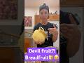 In my past Breadfruit videos I get a lot of &ldquo;Devil fruit&rdquo; comments😂 🟣Bake 350 for an hour🍮
