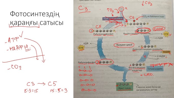 Аңшылық туралы порно Кастингте қара нәсілді еркектердің әйелдерін сиқыған онлайн порно