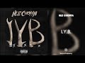 NLE Choppa - I.Y.B. (432Hz)