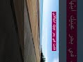 ماتت في محراب عينيك ابتهالاتي كاظم