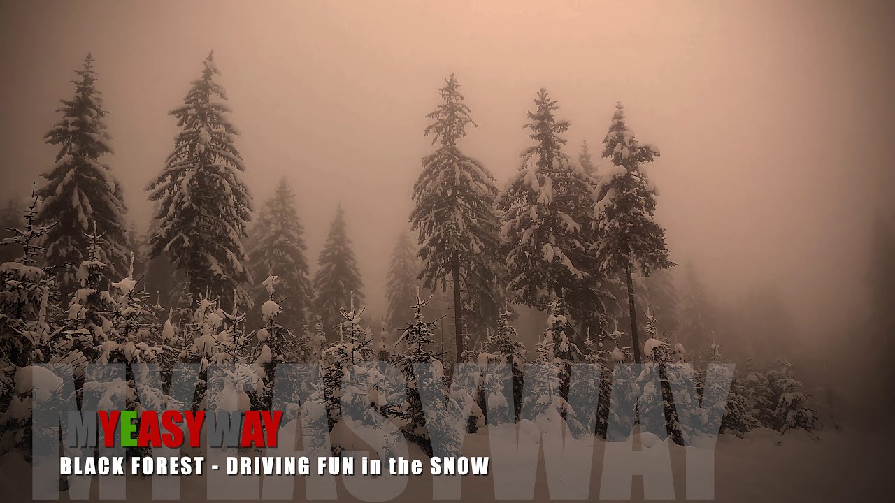 MYEASYWAY - UNIMOKE FATBIKE TOURS BLACK FOREST