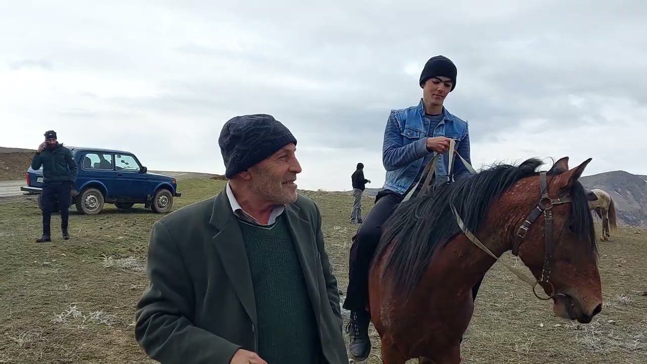 Atlar yarışmaya hazırlanır