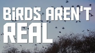 Birds Arent Real An Investigation