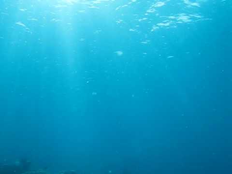 The Sun's Rays Underwater - YouTube