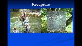 Ecology Lab 1: Mark and Recapture Pre-Lab