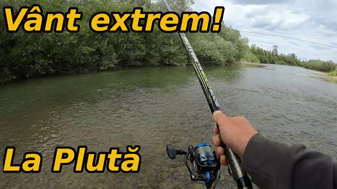 Am Pescuit la Plută pe un Vânt Extrem după Scobar, Morunas și Mreană