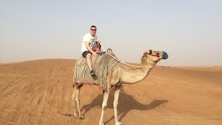 While on a tour of the desert i got chance to ride camel,my first time
and in such beautiful place. check out my dubai playlist's below
things do d...