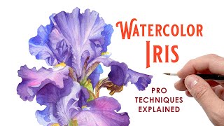 Watercolor Iris Painting: SkillShare Class Trailer