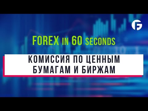 Что такое Комиссия по ценным бумагам и биржам (SEC)?