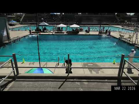 March 22, 2026 Rain City Water Polo Game 2 vs Davis